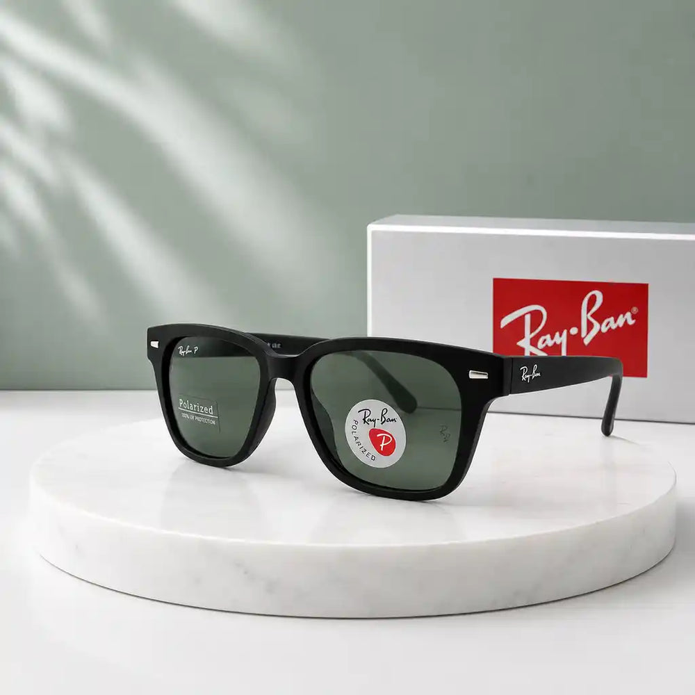Ray-Ban RB4566 Black Brown Polarized Sunglasses